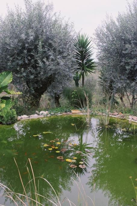 Casa Oliva - Casa Do Lago Porto de Mos  Ngoại thất bức ảnh